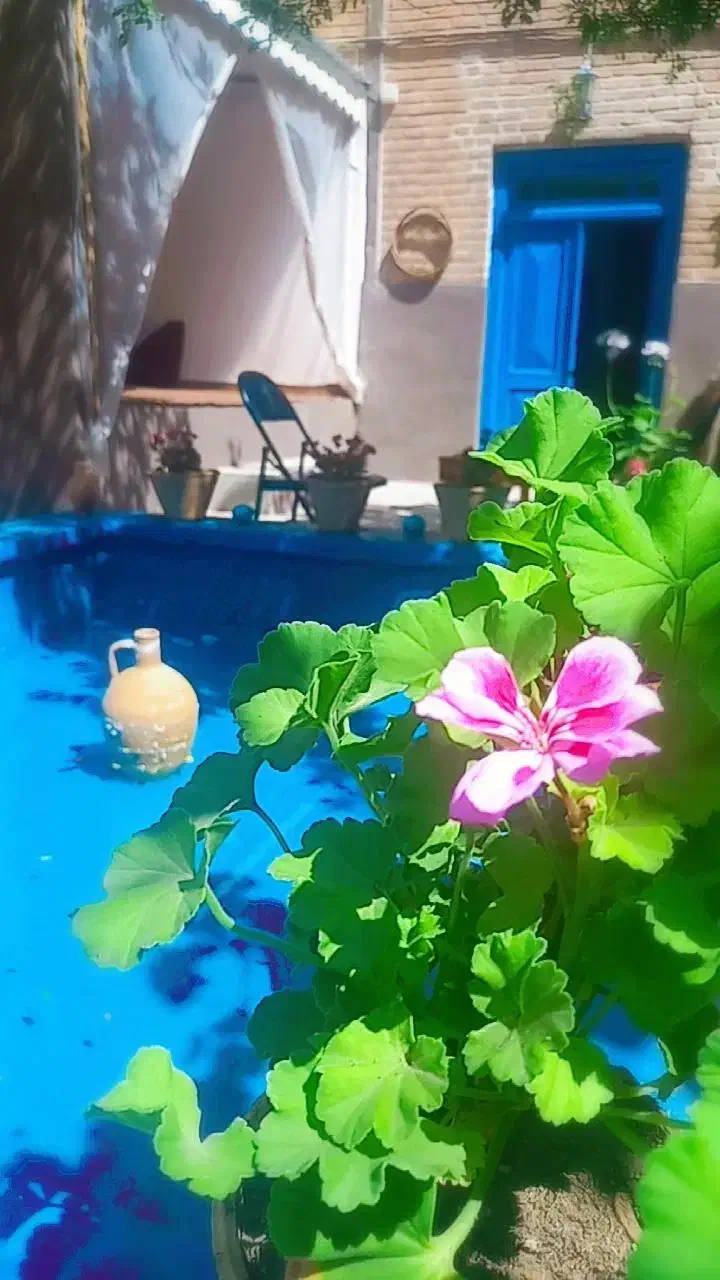 عمارت ویلایی. دربستی|اجارهٔ کوتاه‌مدت ویلا و باغ|سبزوار, کاشفی شمالی (دادگستری)|دیوار