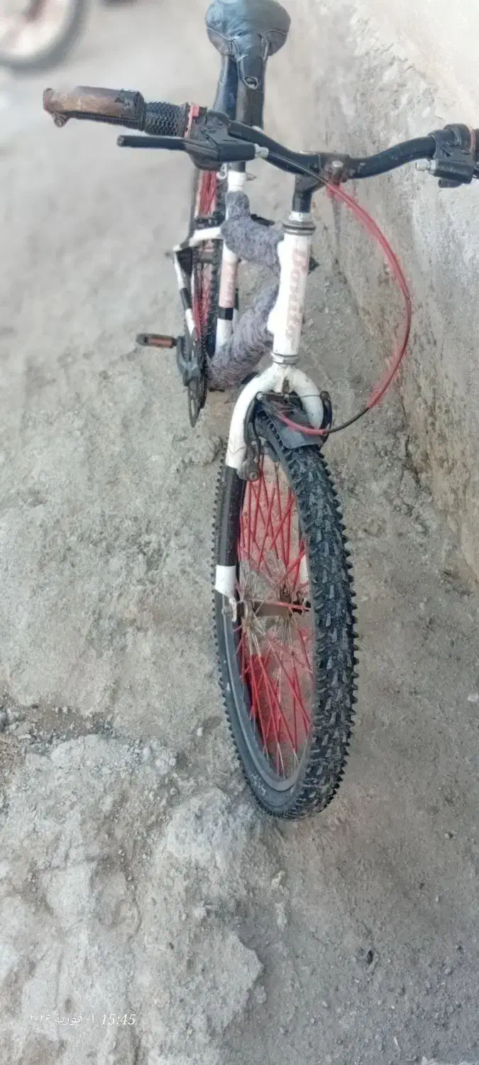 دوچرخه ۲۴|دوچرخه، اسکیت، اسکوتر|قصابه, |دیوار