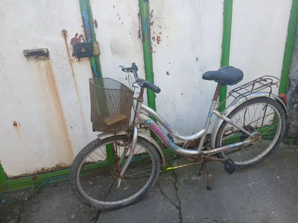 دوچرخه قناری|دوچرخه، اسکیت، اسکوتر|بندر انزلی, پیل علی باغ|دیوار