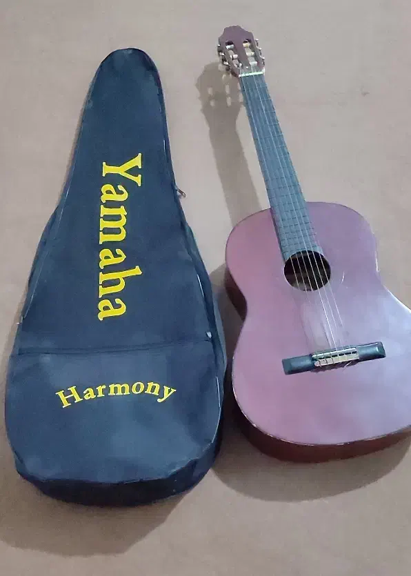 گیتار|گیتار، بیس، امپلیفایر|فلاورجان, |دیوار