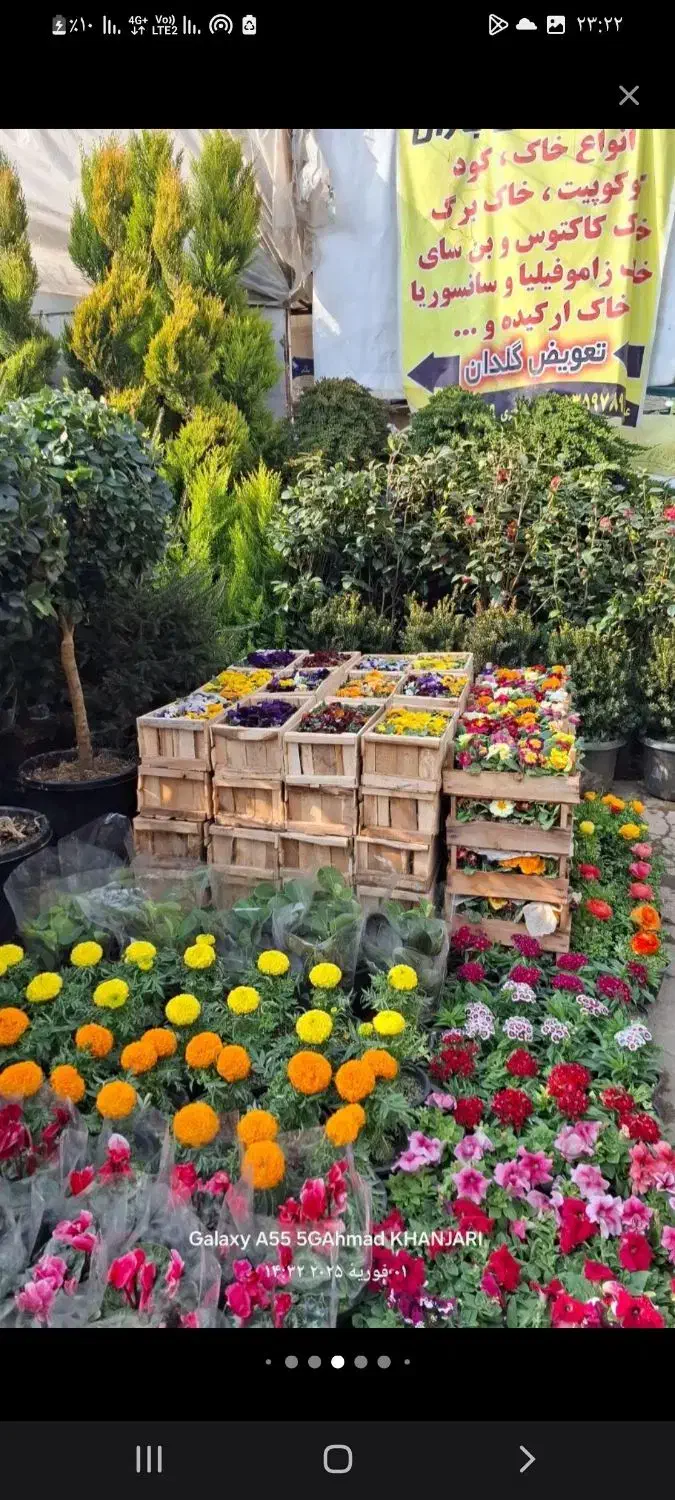 سمپاشی سوسک پشه ساس|خدمات باغبانی و درختکاری|تهران, جماران (نیاوران)|دیوار