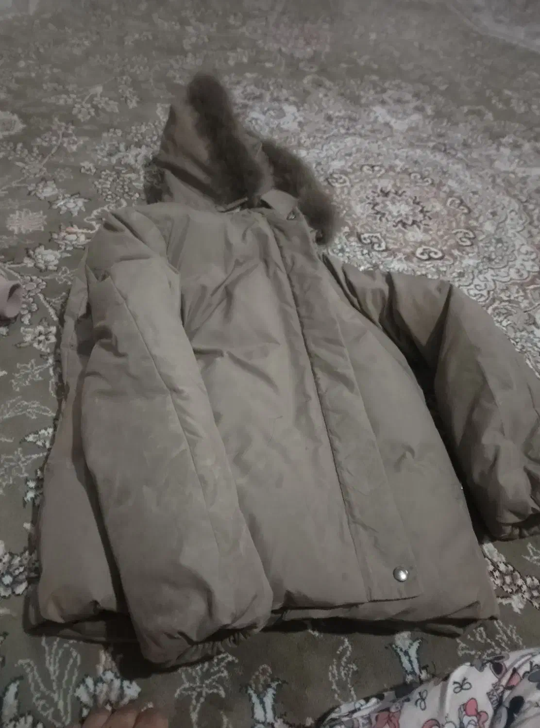 کت وپالتو|لباس|زاهدان, |دیوار