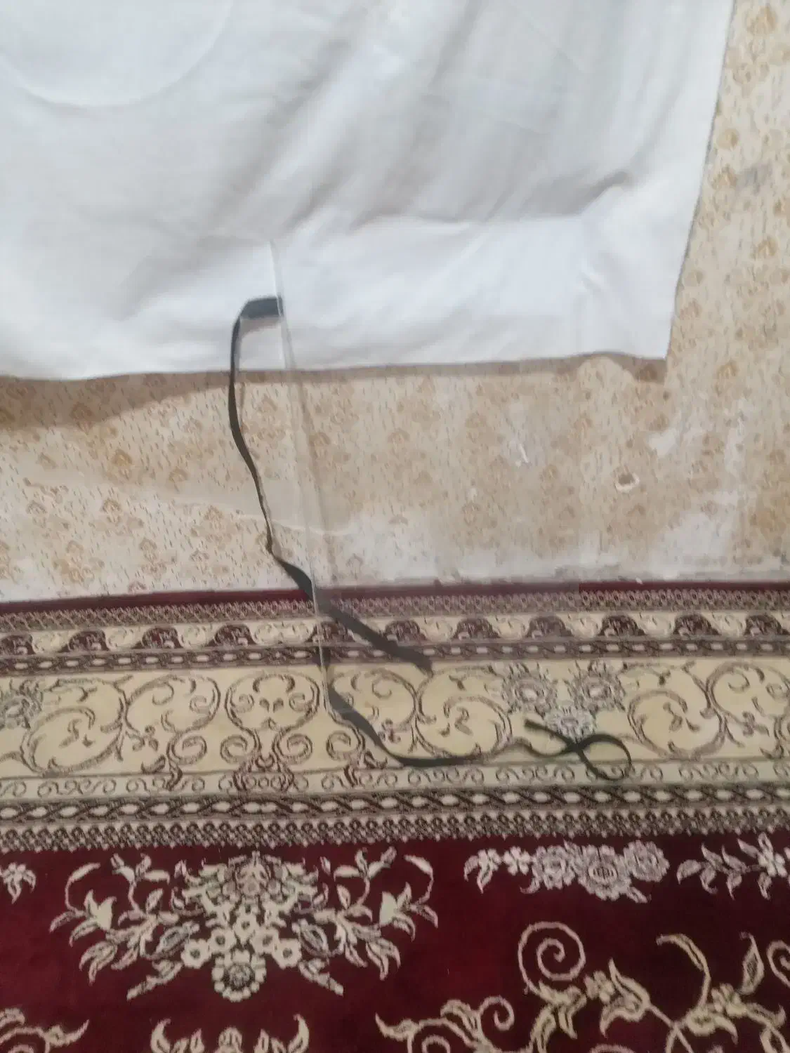 محافظ تلویزیون|تلویزیون و پروژکتور|تایباد, |دیوار