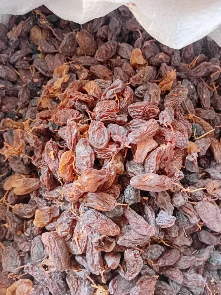 مویز ریشع بابا|عمدهفروشی|کوار, |دیوار