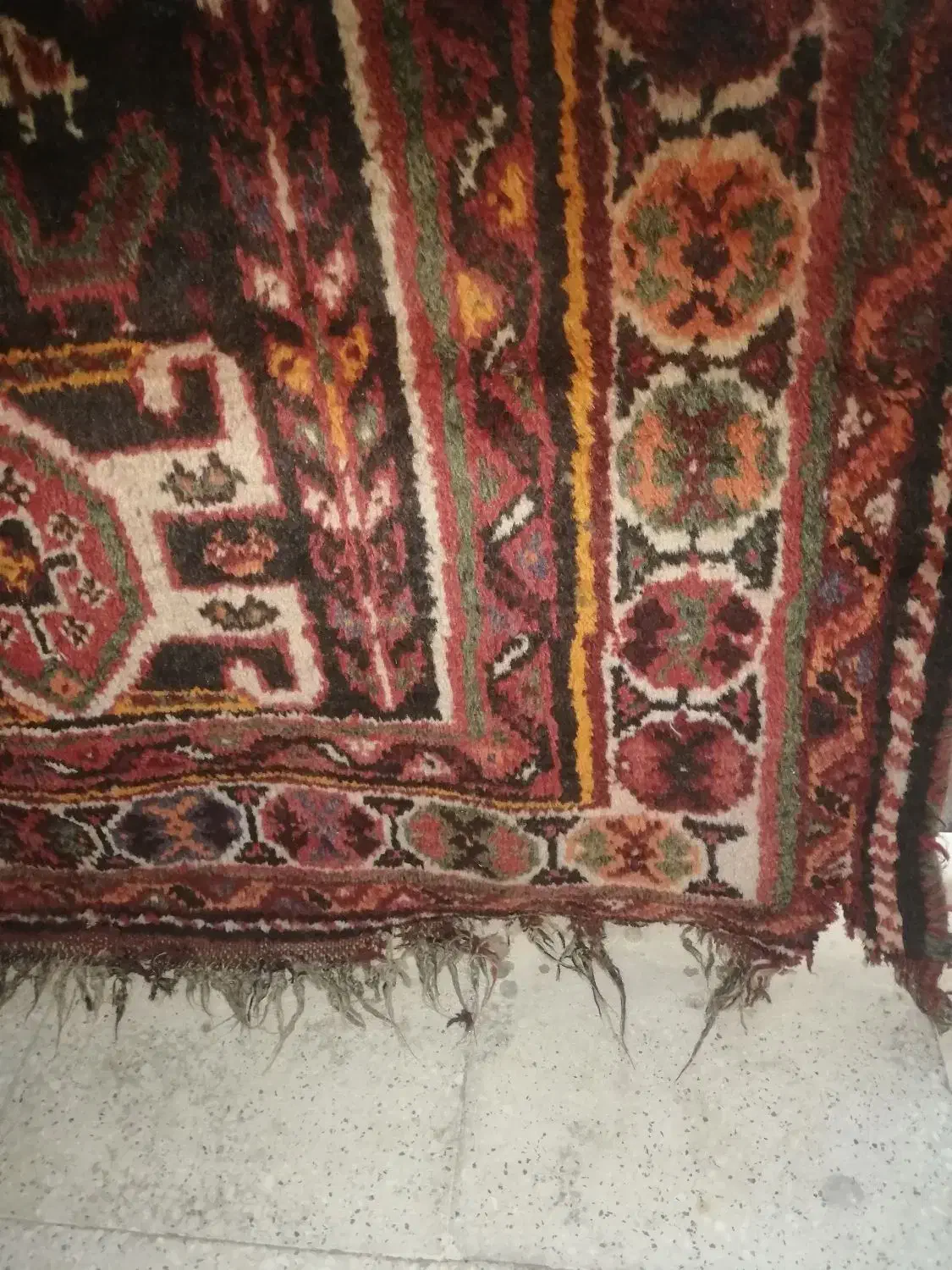 قالی ترکی دستباف قدیمی|فرش|شیراز, تاچارا|دیوار