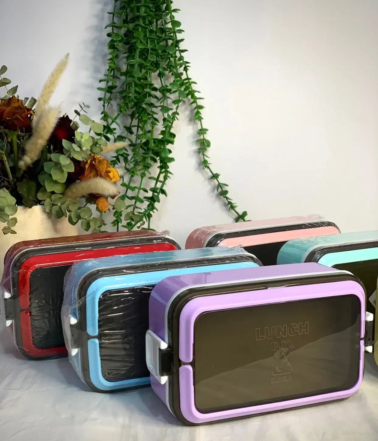 ظرف غذا مخصوص مدرسه و سرکار|ظروف نگهدارنده، پلاستیکی، یکبارمصرف|بم, |دیوار