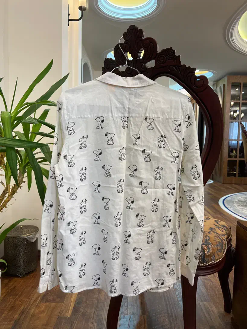 شومیز|لباس|میاندوآب, |دیوار