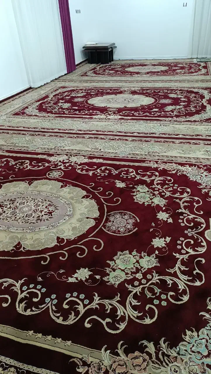 فرش نگین مشهد جگری رنگ|فرش|گنبد کاووس, |دیوار