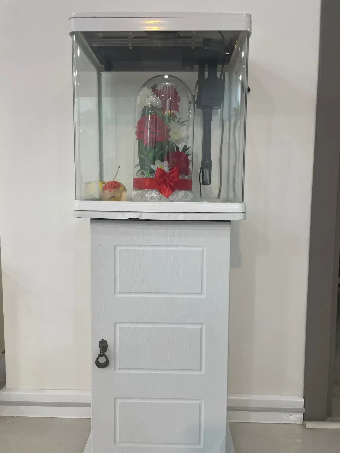 اکواریوم شرکتی|ماهی|گناباد, |دیوار