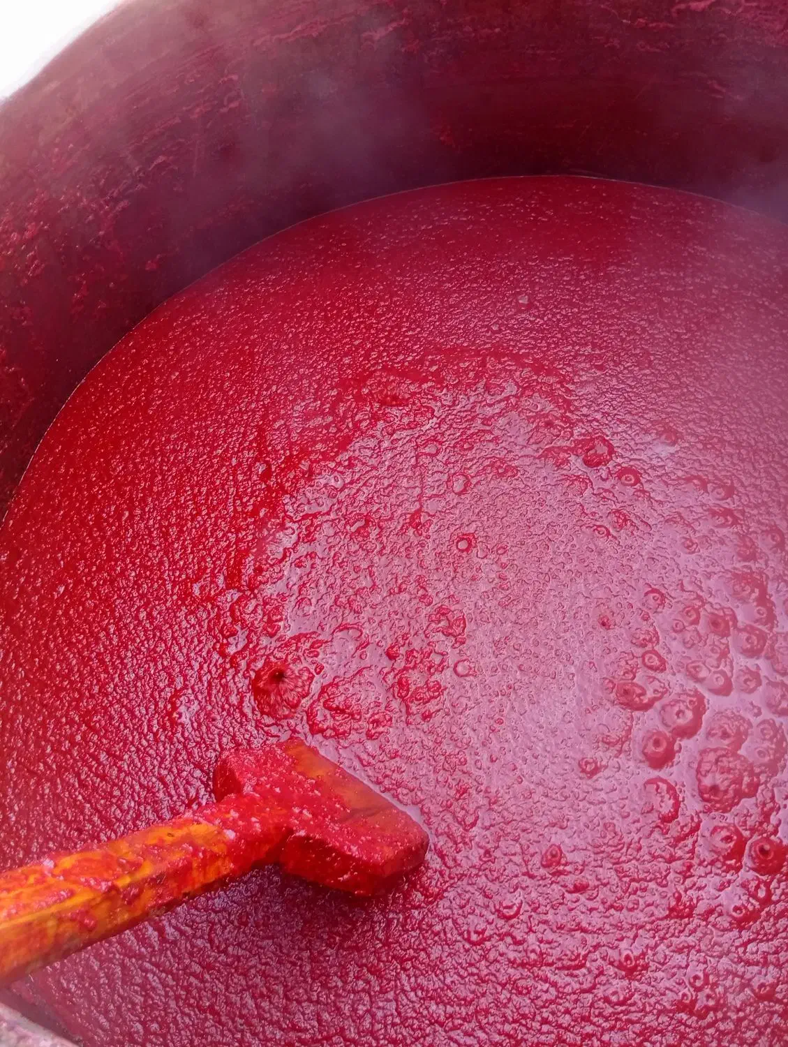 رب خانگی خوش طعم وخوش رنگ|خوردنی و آشامیدنی|نیشابور, شهرک فیروزه|دیوار