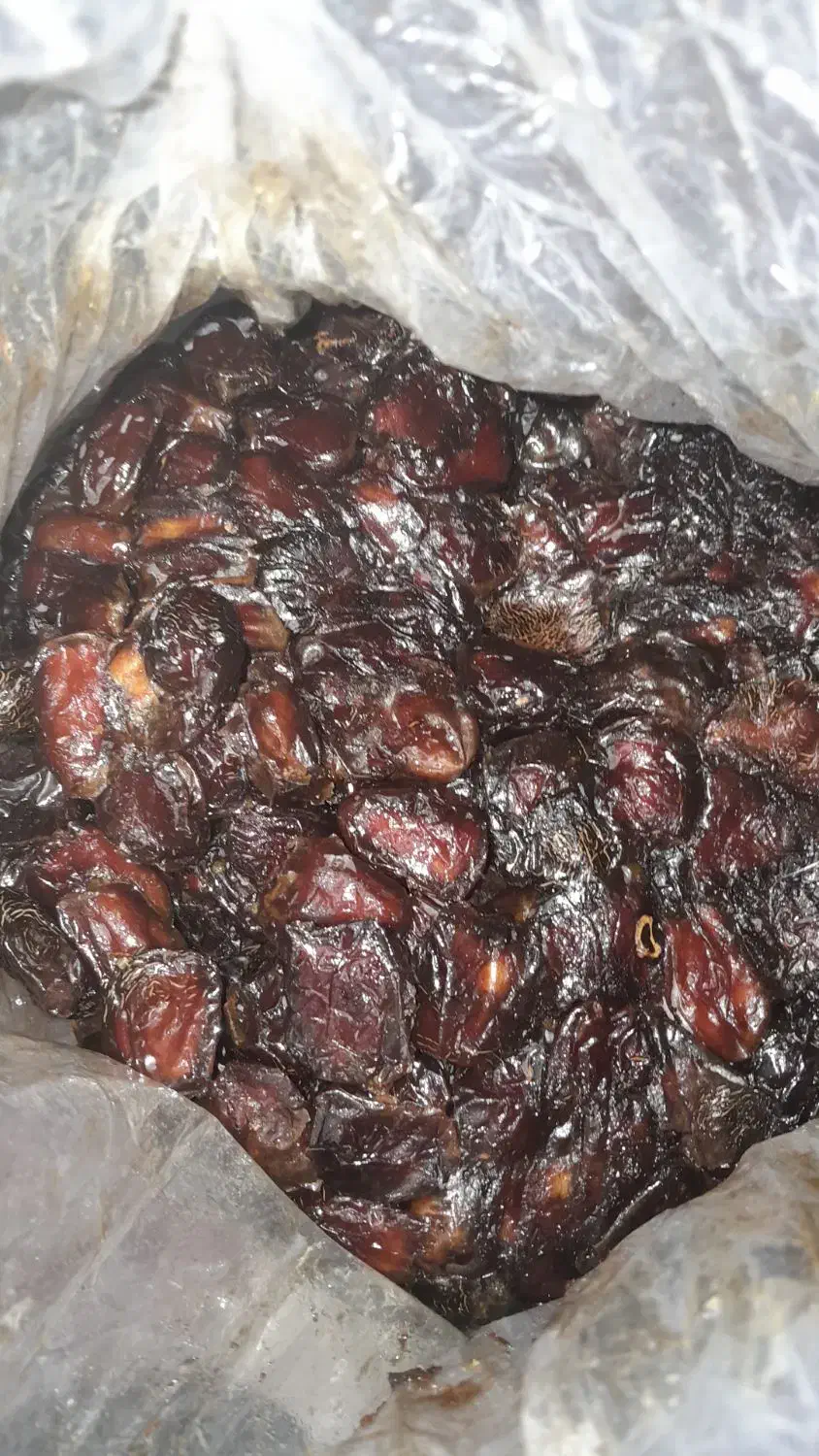 فروش خرمای خنیزی و مرداسنگ|خوردنی و آشامیدنی|رودان, |دیوار