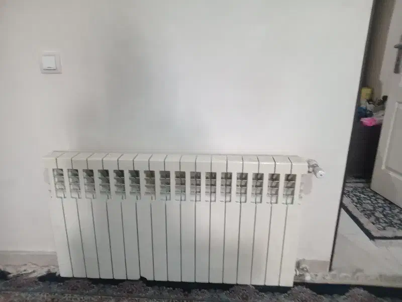 سرویس  نصب  تعمیر  پکیج،ابگرکمن.بخاری،پمپ آب  لوله|خدمات پیشه و مهارت|محمدشهر, همایون ویلا|دیوار