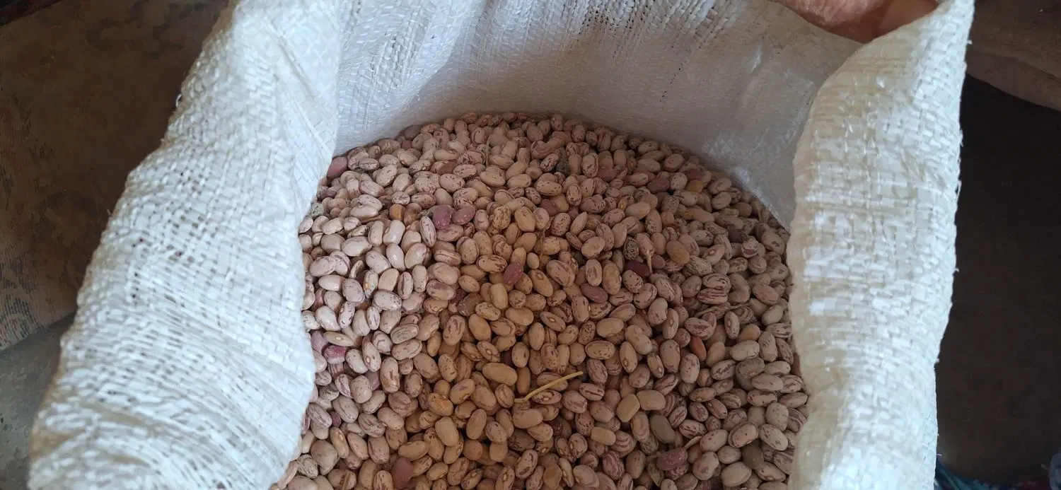 لوبیا|خوردنی و آشامیدنی|نورآباد ممسنی, |دیوار