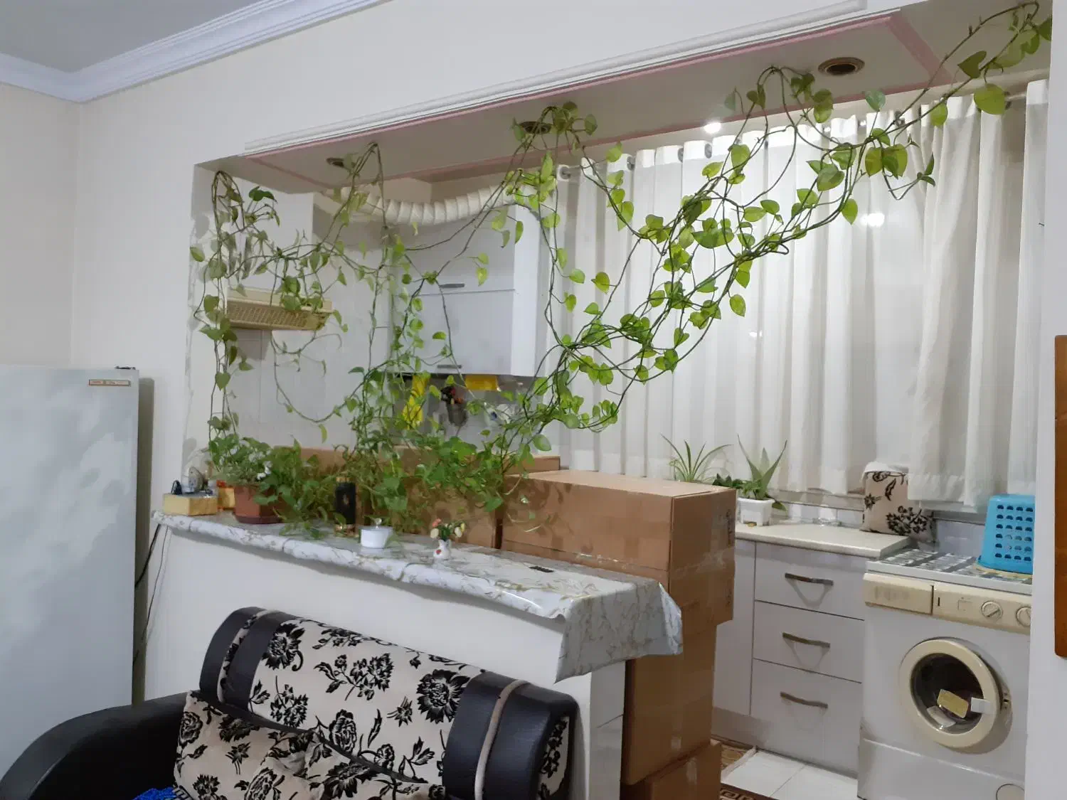 اجاره آپارتمان ۷۰ متری ۱ خوابه طبقه ۲ در جوادیه|اجارهٔ آپارتمان|تهران, جوادیه|دیوار