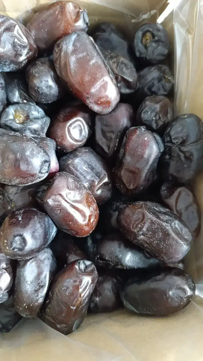 خرمای فله ای درجه خریداریم|فعالیت داوطلبانه|بم, |دیوار