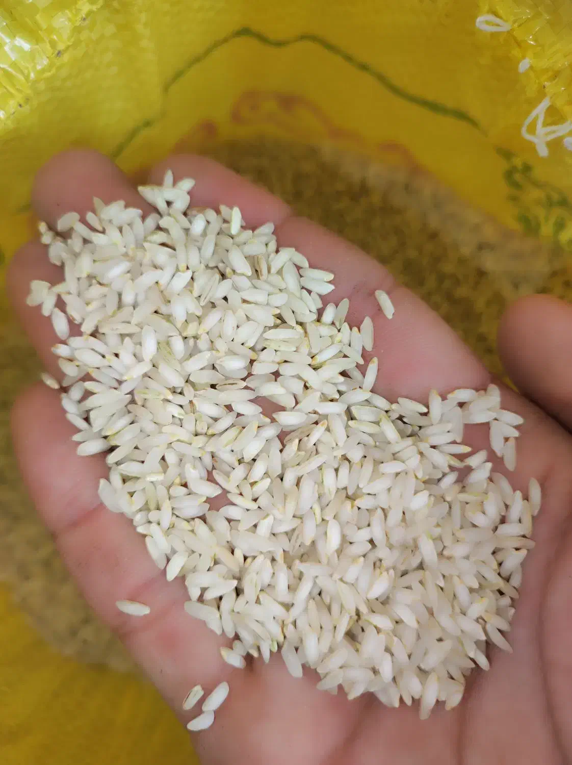 برنچ عنبربو درجه1|عمدهفروشی|کرخه, |دیوار