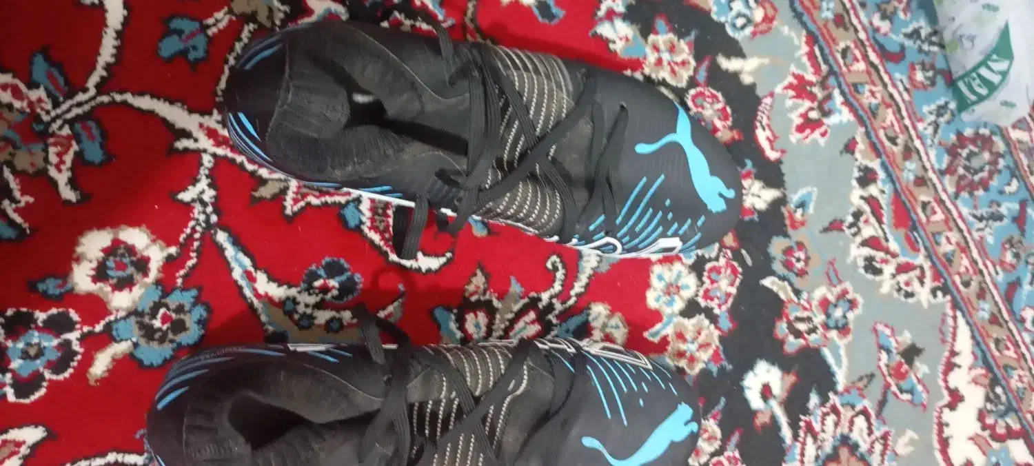 کفش فوتبال|کیف، کفش، کمربند|بابکان, |دیوار