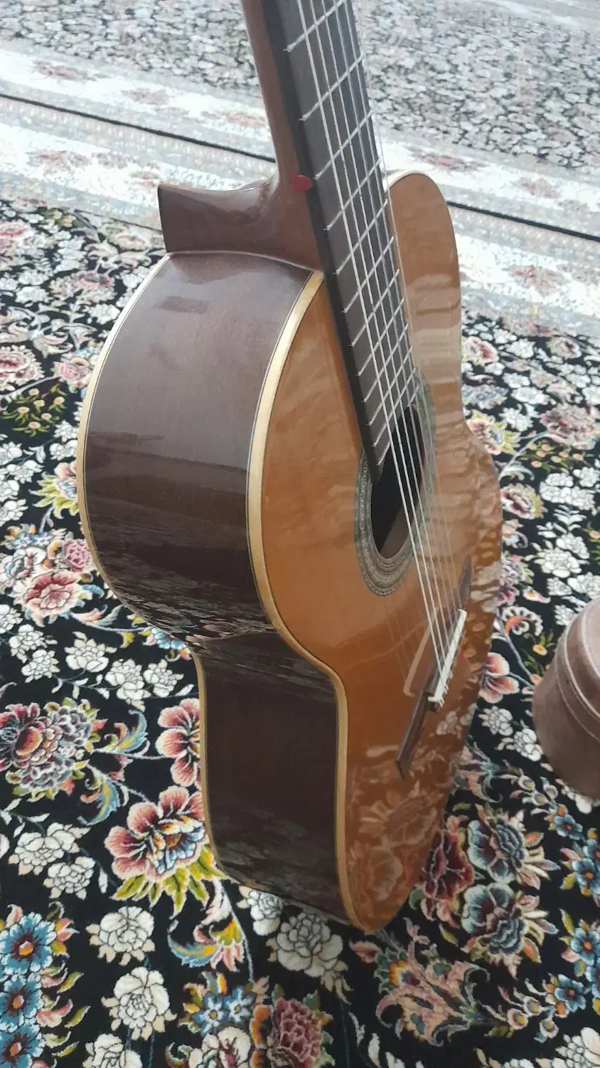 گیتار الحمراه c2|گیتار، بیس، امپلیفایر|بیرجند, |دیوار