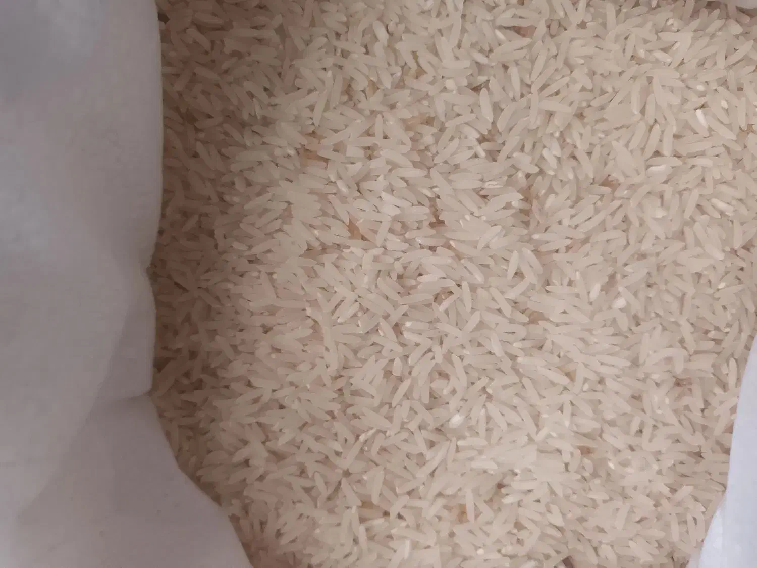 برنج دوباره برداشت (دونوج)بسیارخوش طعم وبو|خوردنی و آشامیدنی|کردکوی, |دیوار