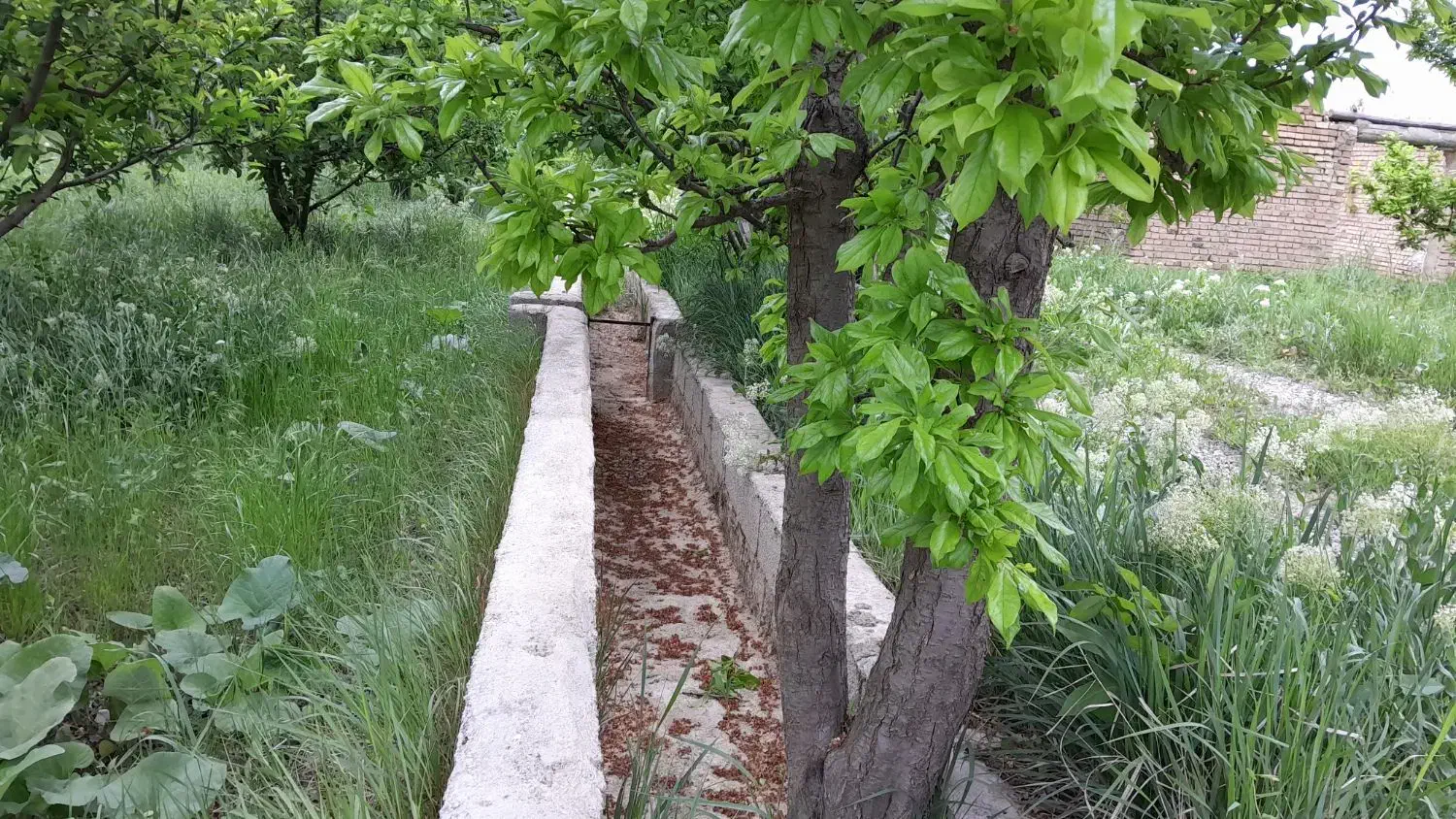 ویلاباغ دارای مجوز ساخت وبرق براسفالت|فروش خانه و ویلا|ارومیه, |دیوار