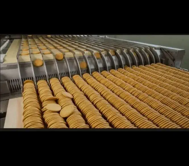 اپراتور خط تولید و نیرو خدماتی|استخدام صنعتی، فنی، مهندسی|لاهیجان, لیالستان|دیوار