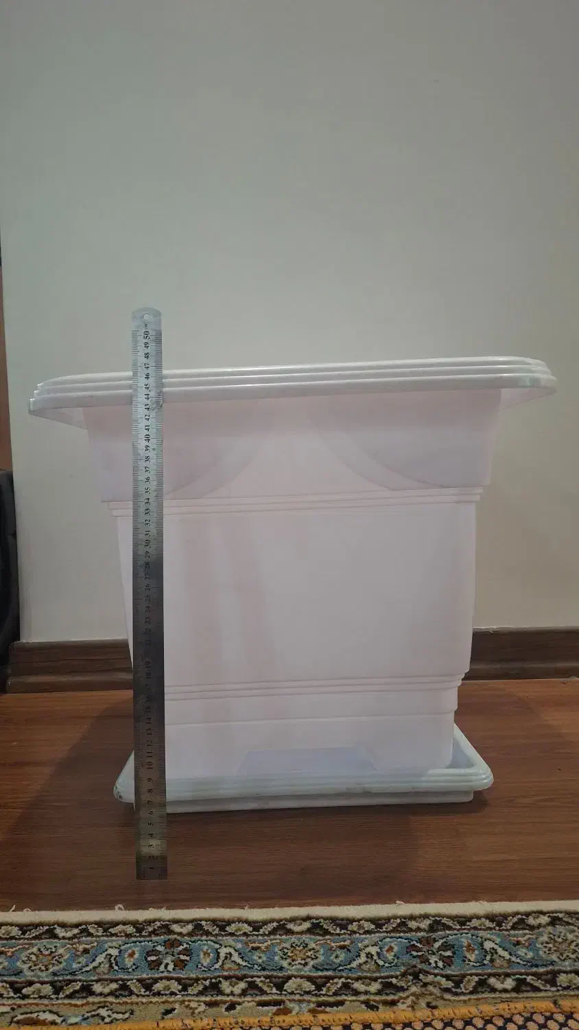 گلدان بزرگ|گل و گیاه طبیعی|تهران, سازمان برنامه شمالی|دیوار