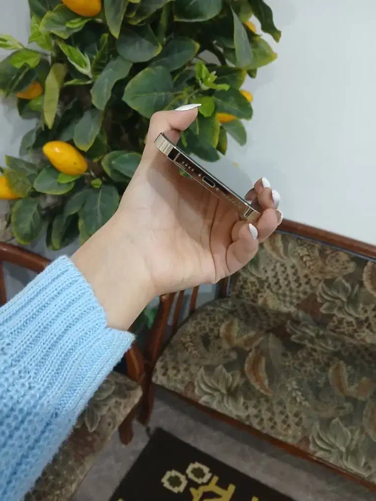 گوشی ایفون ۱۲پرومکس|موبایل|بروجرد, |دیوار