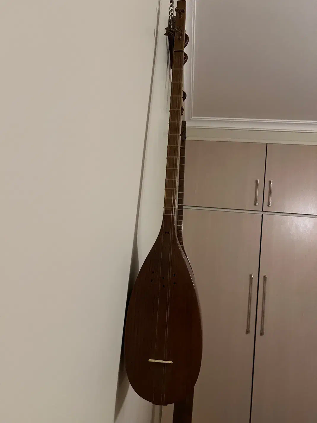 تنبور آوای دوست|سازهای سنتی|شیراز, فرهنگ شهر|دیوار