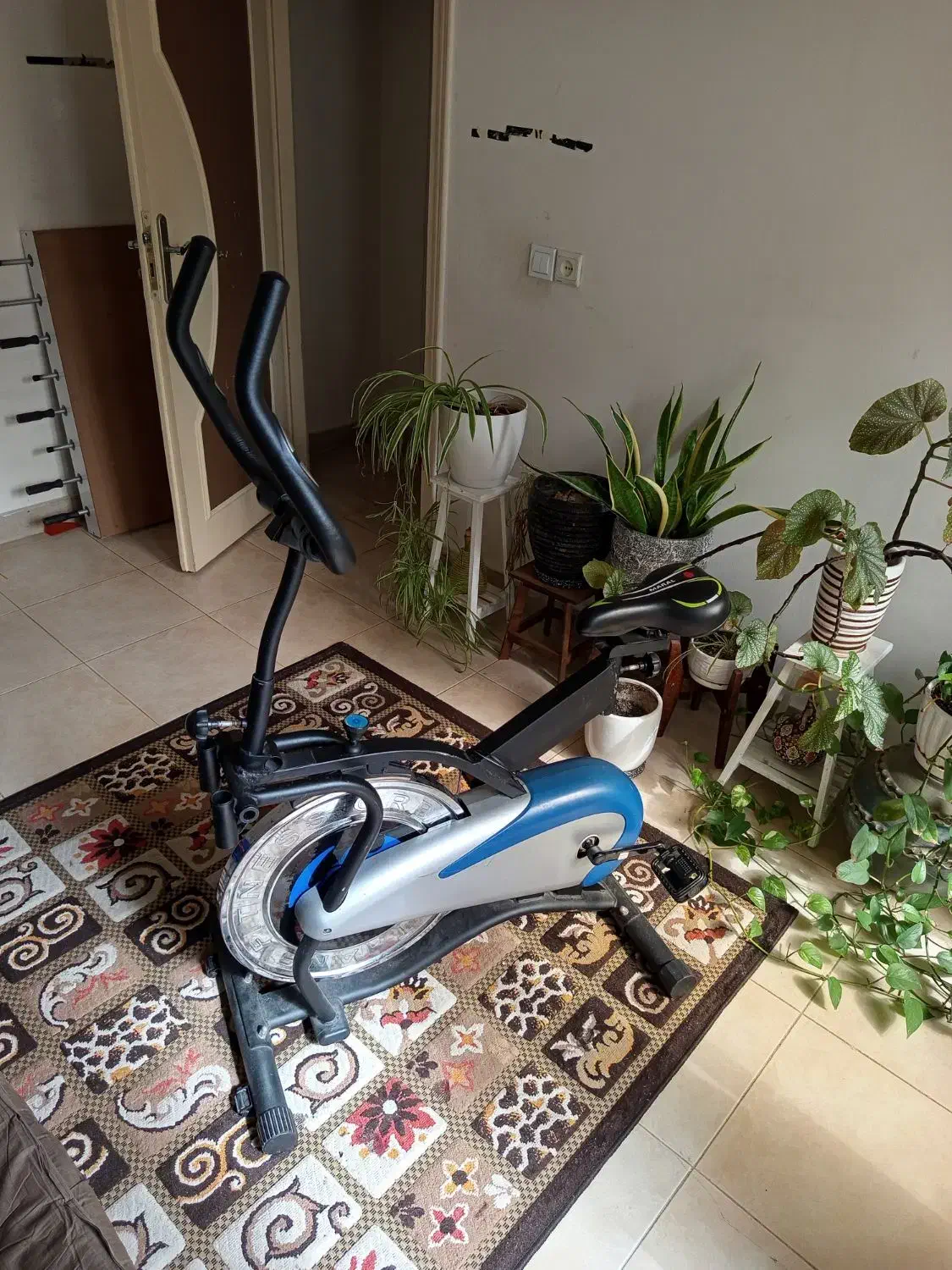 دوچرخه ثابت اسپینینگ|تجهیزات ورزشی|آمل, |دیوار