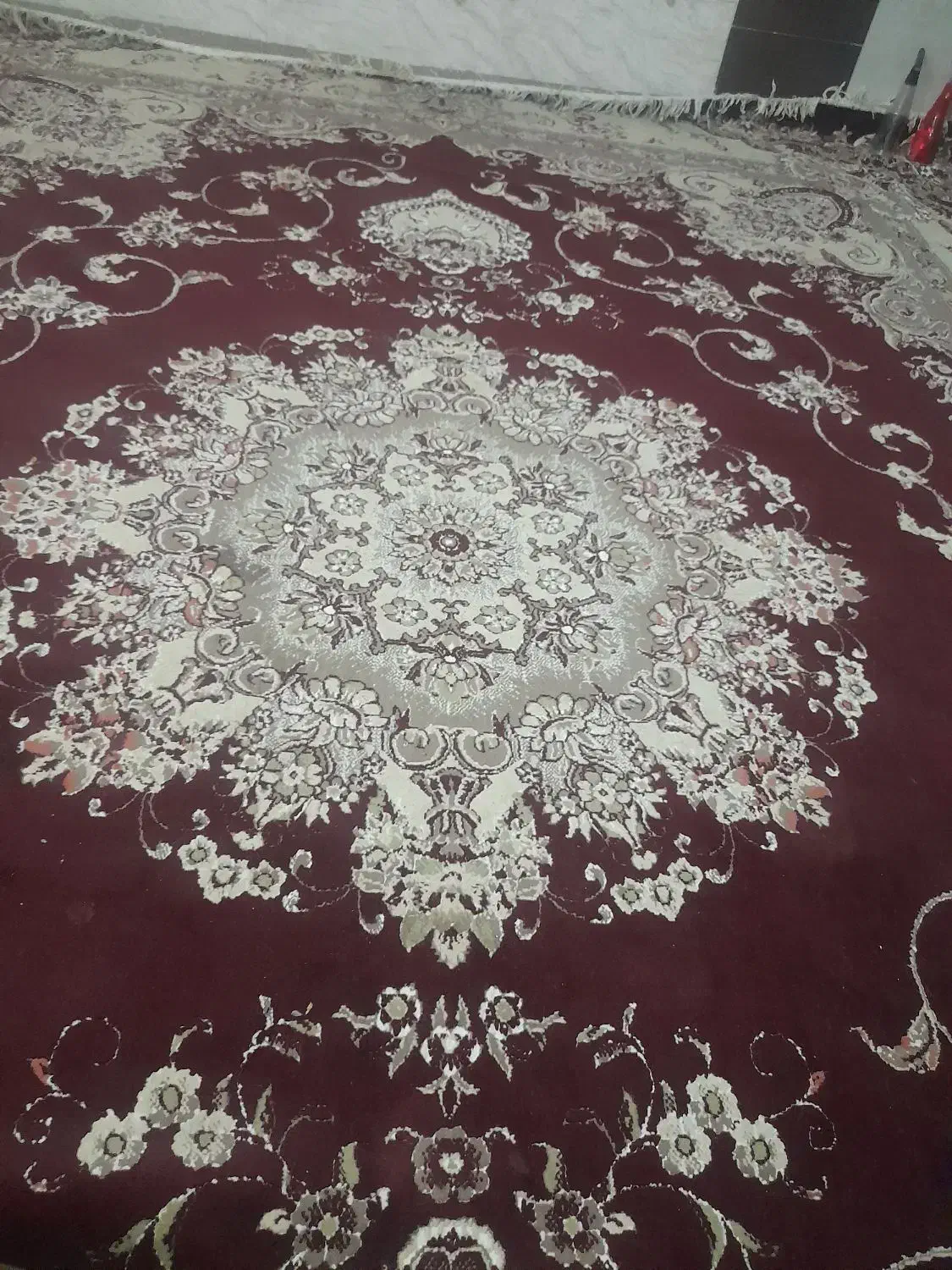 قالی ۱۲ متری|فرش|یزد, |دیوار