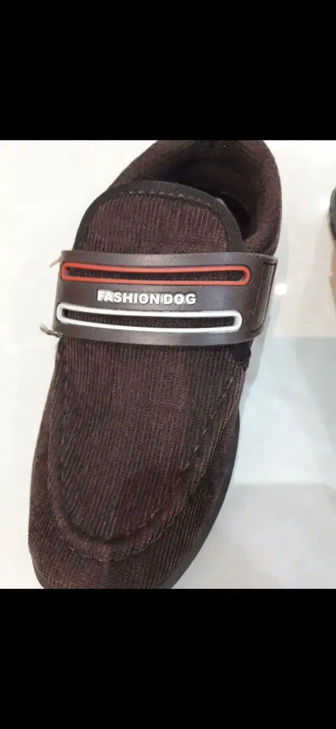 کفش بچگانه|کیف، کفش، کمربند|قم, سراجه (۱۵ خرداد)|دیوار