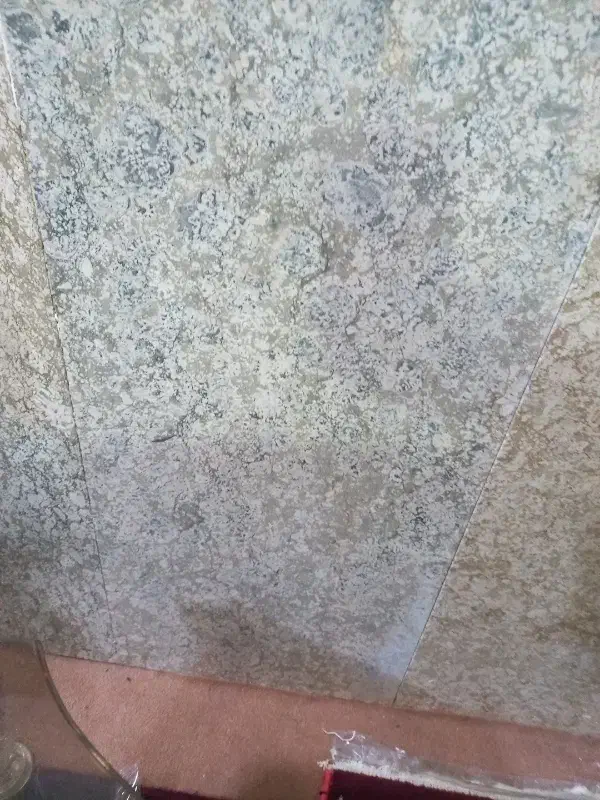 حرکت از شهرکرد به بن|خدمات حمل و نقل|بن, |دیوار