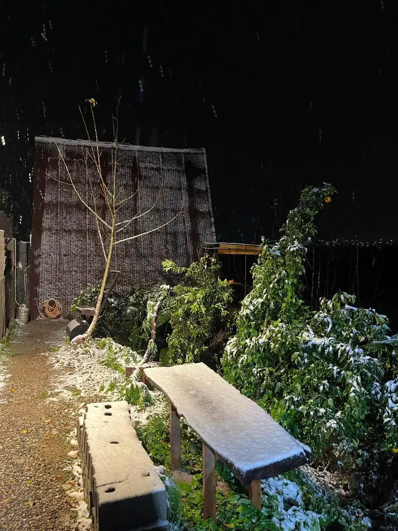 اجاره روزانه کلبه سویسی|اجارهٔ کوتاهمدت ویلا و باغ|مرزیکلا, |دیوار