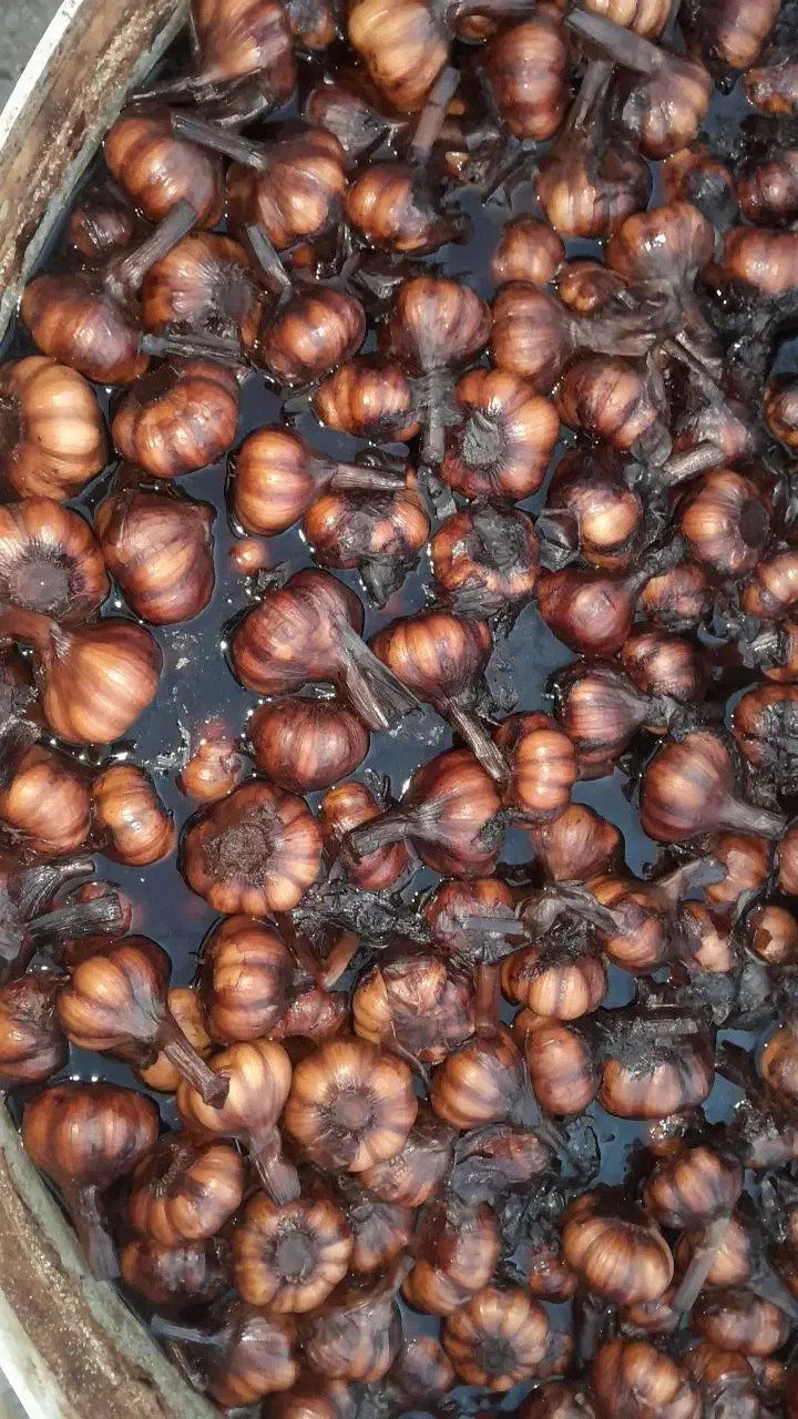 سیر ترشی طارم درجه یک|عمده‌فروشی|چورزق, |دیوار