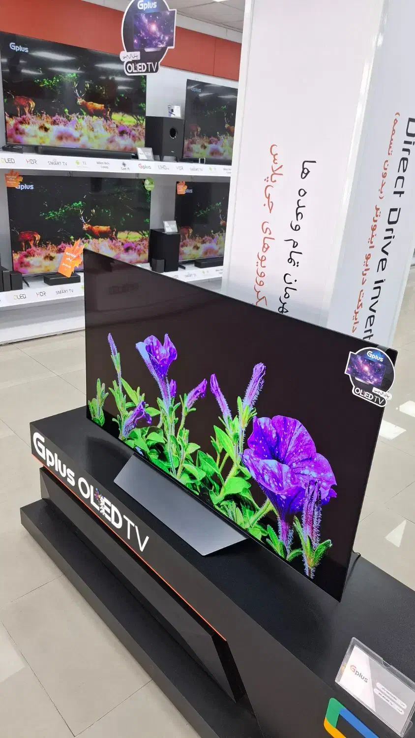 جشنواره تلویزیون های جیپلاس ۲۴ ماهه|تلویزیون و پروژکتور|زنجان, |دیوار