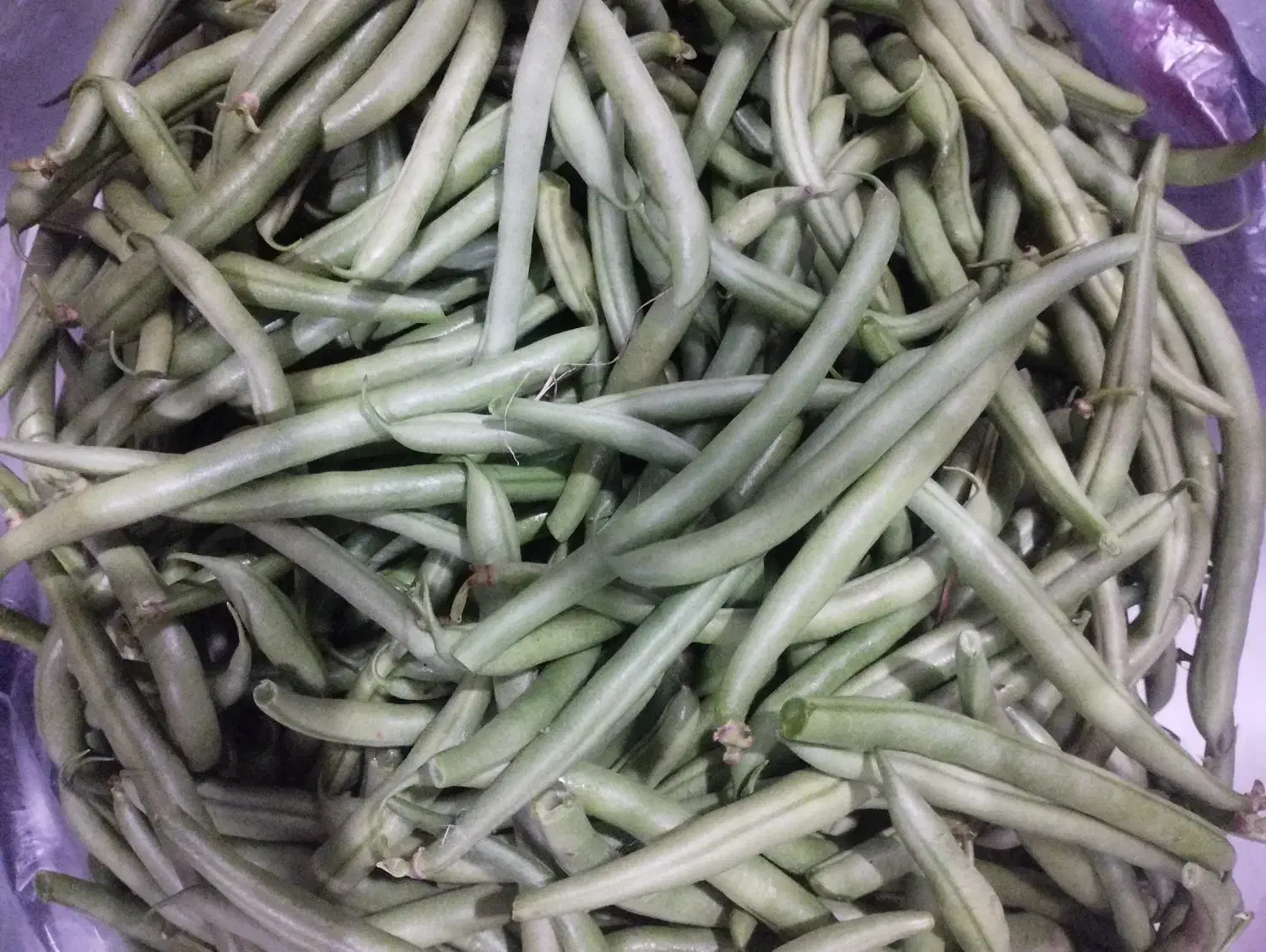 لوبیا سبز قلمی|خوردنی و آشامیدنی|ارطه, |دیوار