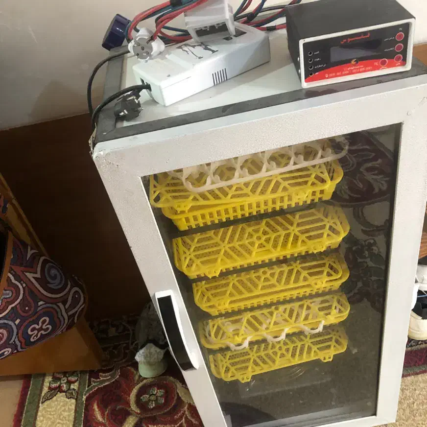 دستگاه جوجه کشی|لوازم جانبی حیوانات|بهبهان, |دیوار