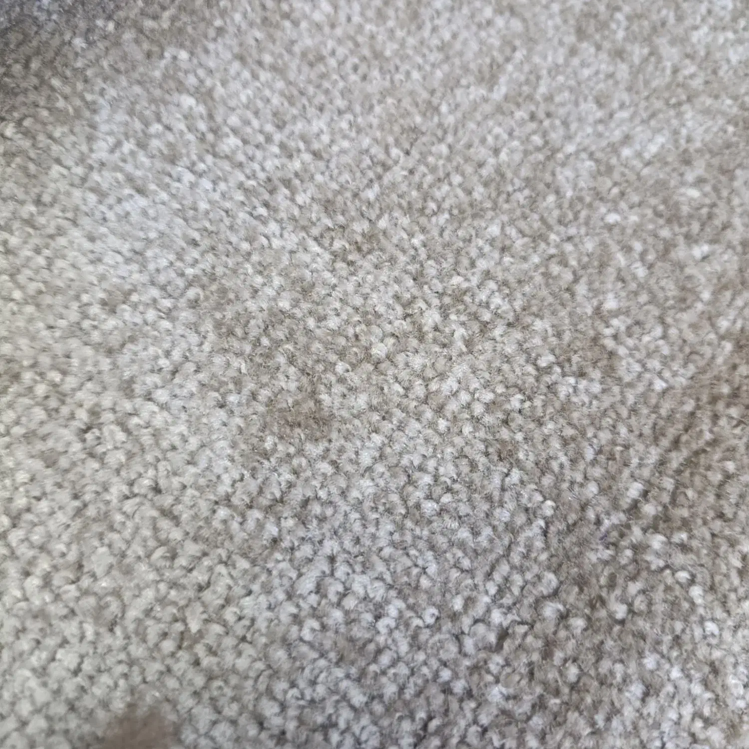 پالاز موکت|موکت|خرمآباد, |دیوار