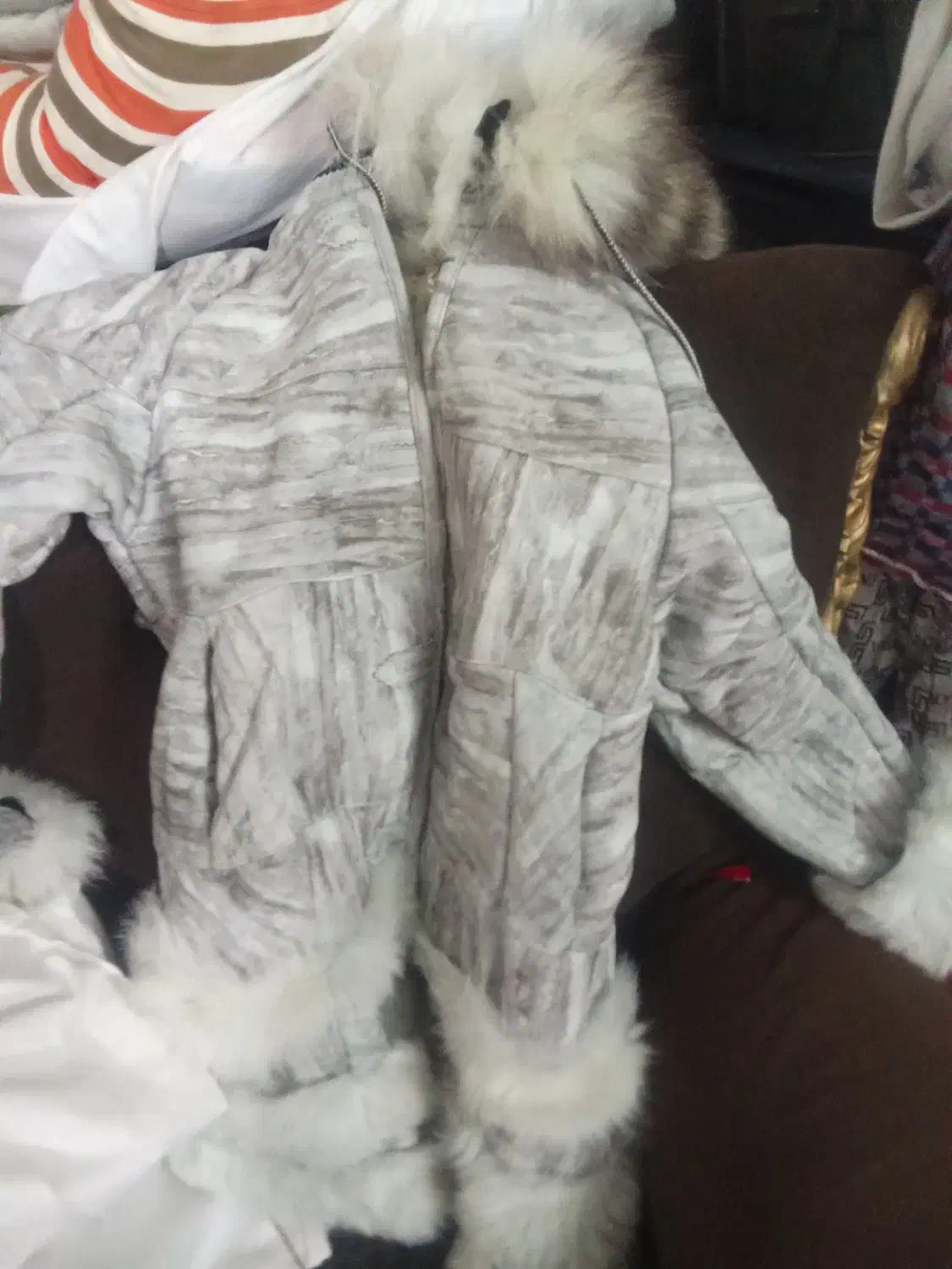 پالتو خارجی|لباس|گرگان, |دیوار