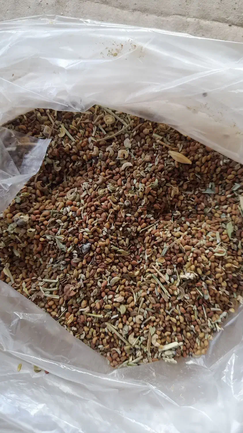 بذر یونجه|خدمات باغبانی و درختکاری|نهاوند, |دیوار