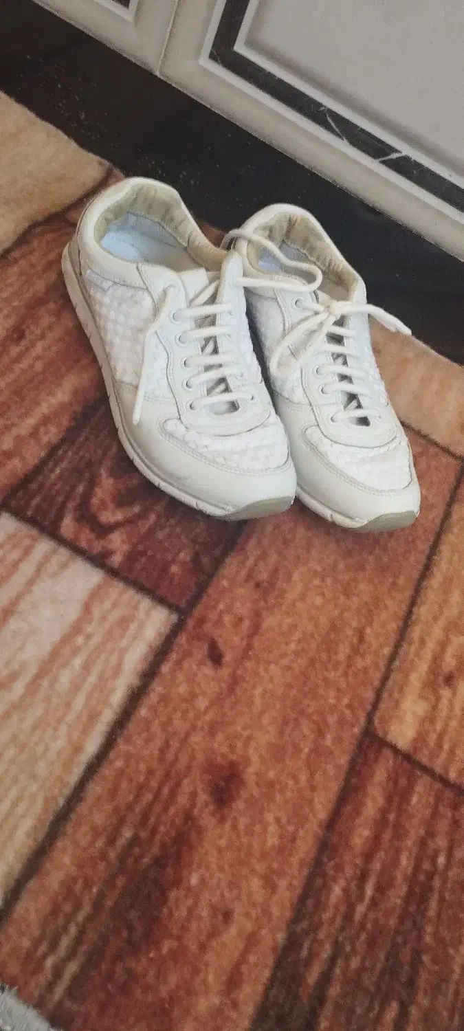 کفش های مارک دار|کیف، کفش، کمربند|مهاباد (آذربایجان غربی), |دیوار