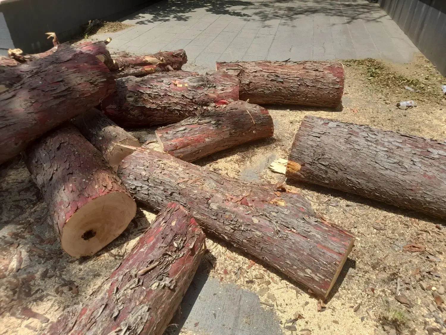 باغ بانی و تامین نگهداری|خدمات باغبانی و درختکاری|تهران, سبلان (لشگر)|دیوار