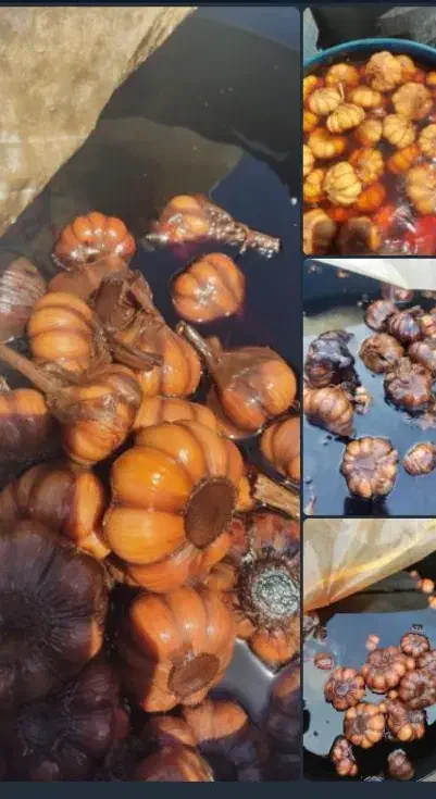 سیر ترشی و انواع زیتون|خوردنی و آشامیدنی|چورزق, |دیوار