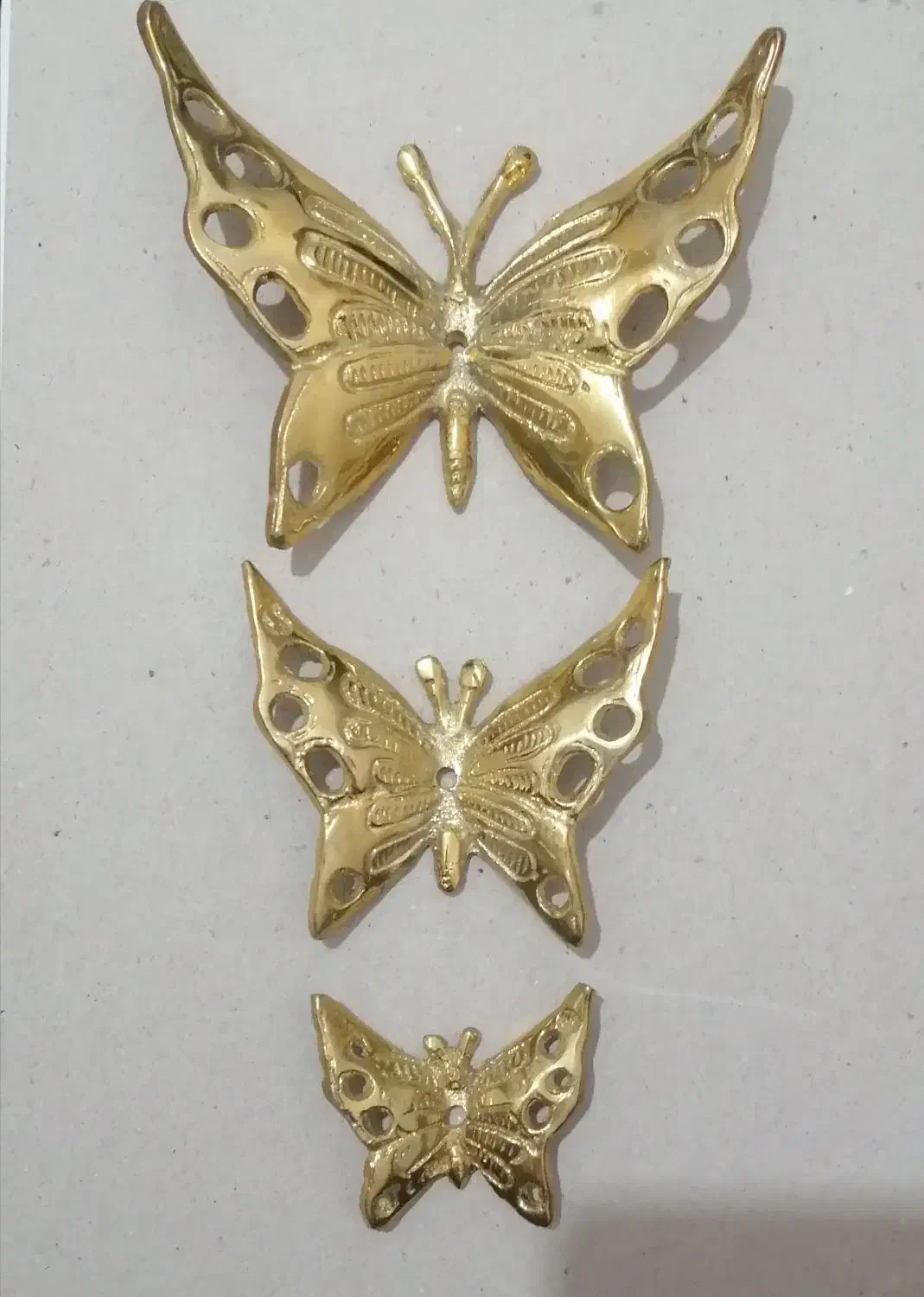 مجسمه ی برنز طرح پروانه|مجسمه، تندیس، ماکت|زنجان, |دیوار