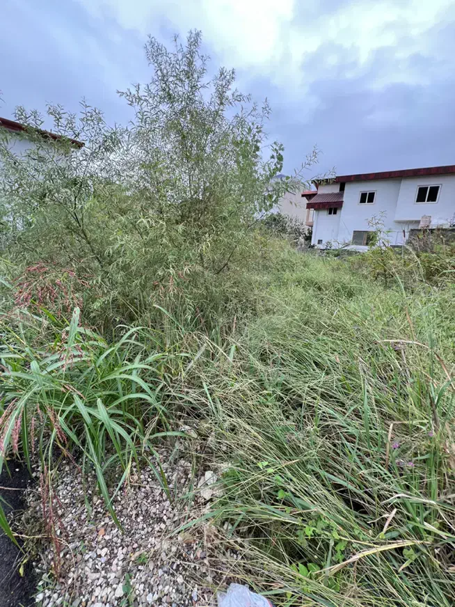 فروش زمین/ متل قو/ خیابان توسکا/شادی غربی|فروش زمین و ملک کلنگی|سلمانشهر, |دیوار