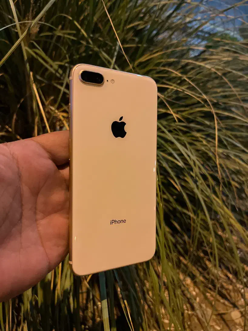 ۸پلاس گلدفابریک|موبایل|تهران, سیمای ایران|دیوار