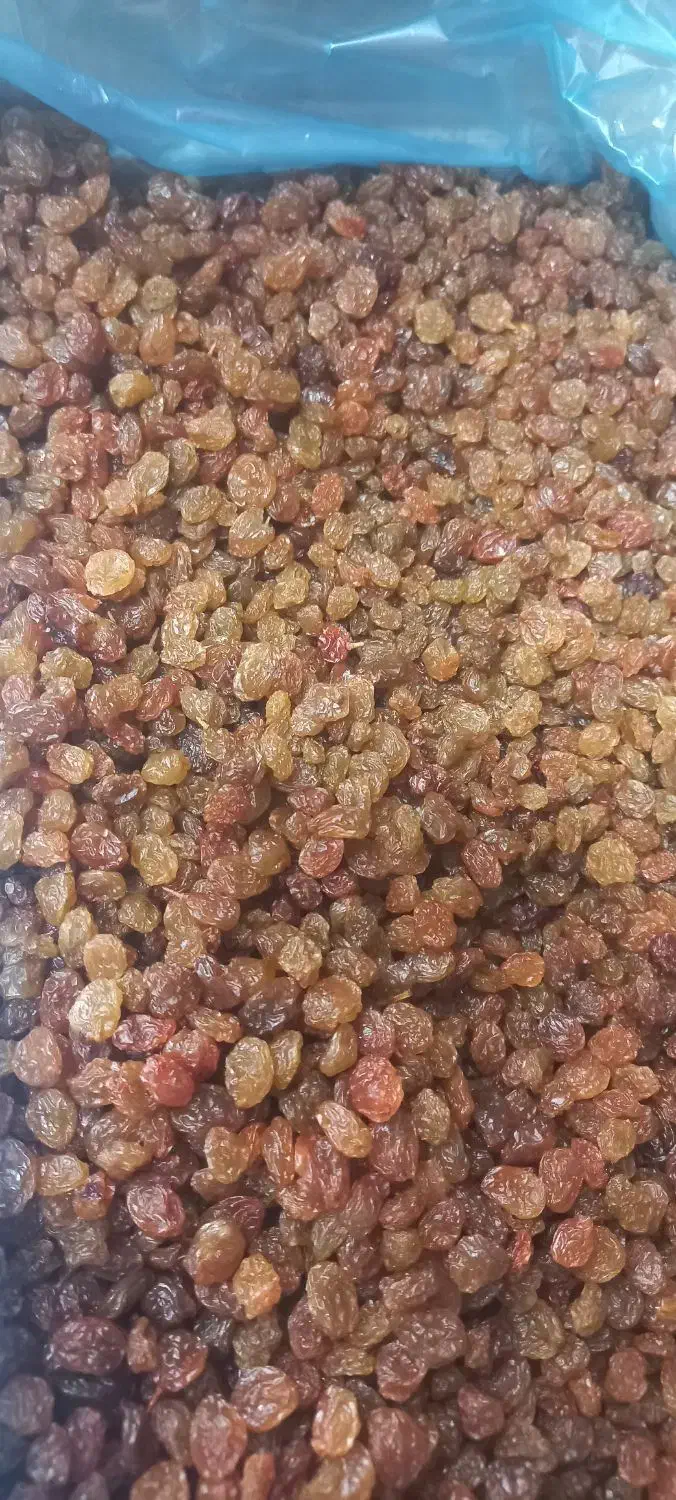 کشمش پلویی (بنکداران)|خوردنی و آشامیدنی|اهواز, بنکداری|دیوار