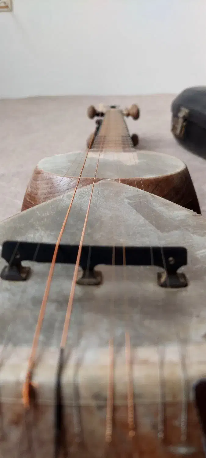 تار آذری جوادپور|سازهای سنتی|تبریز, |دیوار