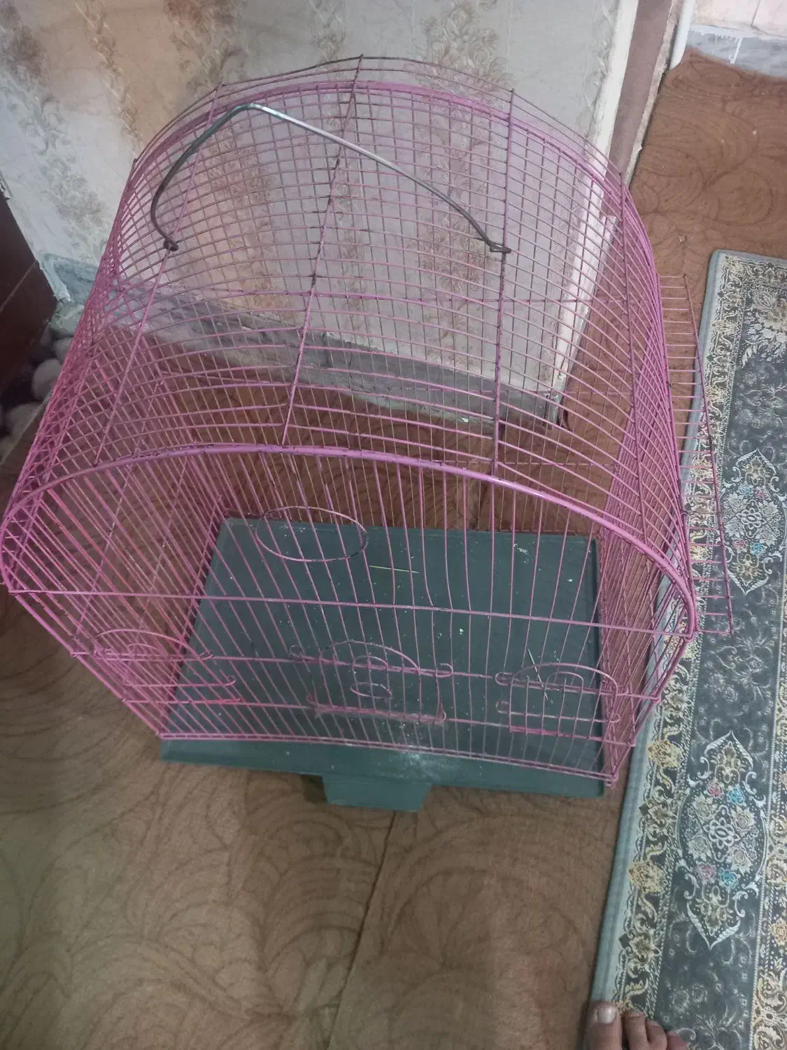 قفس|لوازم جانبی حیوانات|بروجرد, |دیوار