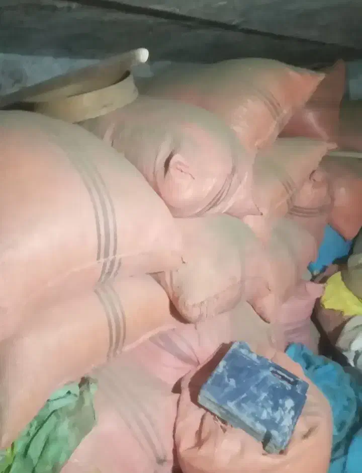 کاه گندم درجه یک (کاریز)|حیوانات مزرعه|تایباد, |دیوار